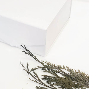 white-square-gift-box